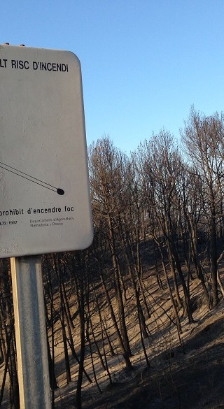 Incendi forestal – juliol 2015