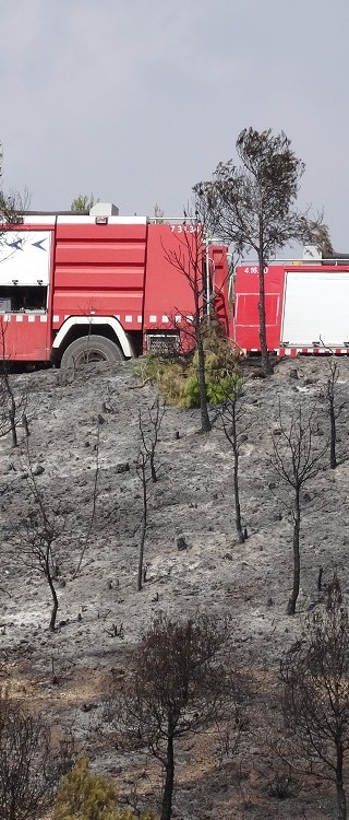 Incendi forestal – juliol 2015