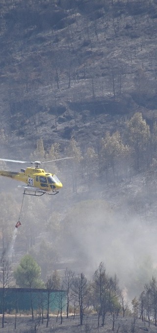 Incendi forestal – juliol 2015