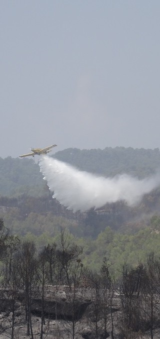 Incendi forestal – juliol 2015