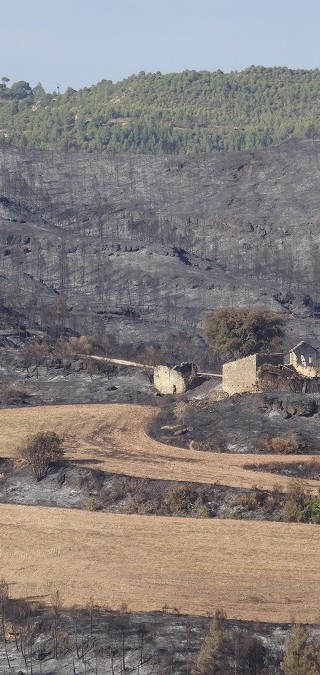 Incendi forestal – juliol 2015