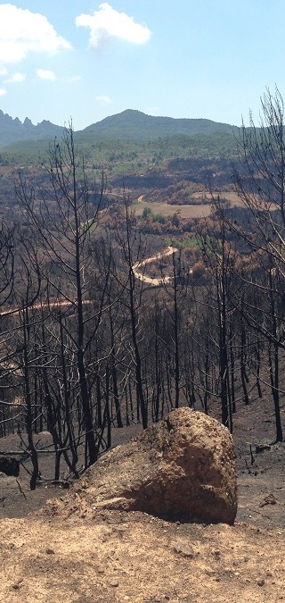 Incendi forestal – juliol 2015