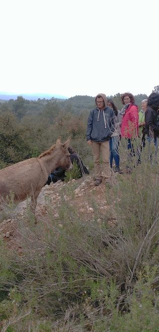 Difusió del projecte
