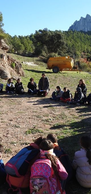 Difusió del projecte