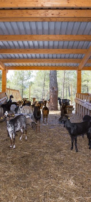 Infraestructuras ganaderas