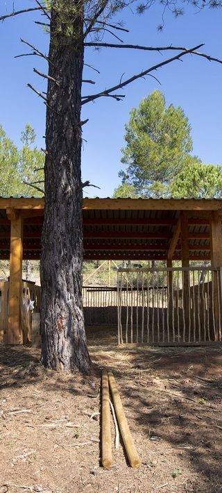 Infraestructuras ganaderas