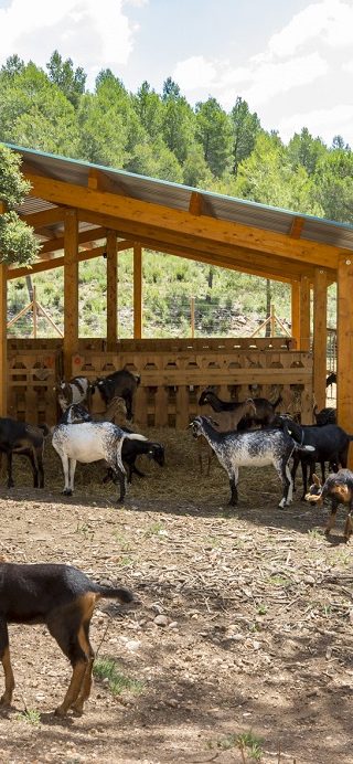 Infraestructuras ganaderas
