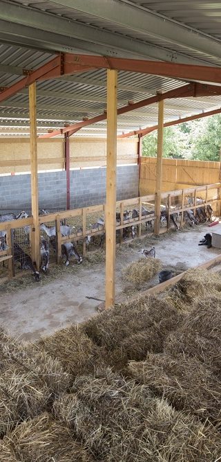 Infraestructuras ganaderas