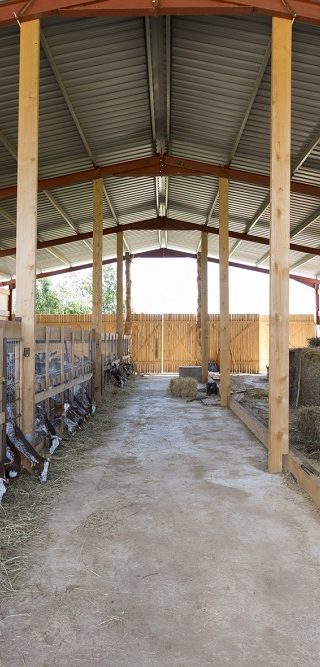 Infraestructuras ganaderas