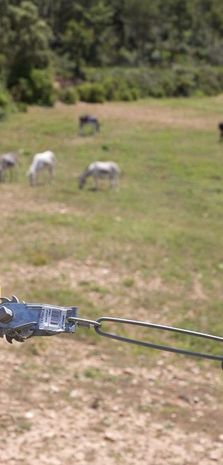 Infraestructuras ganaderas
