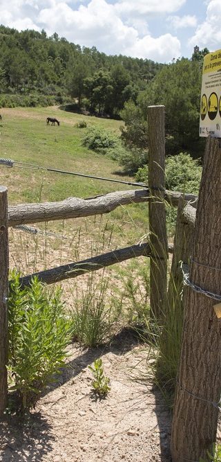 Infraestructuras ganaderas
